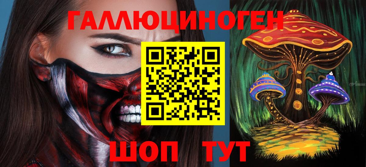 Галлюциногенные грибы мухоморы  Вход с VPN  Карачаевск 