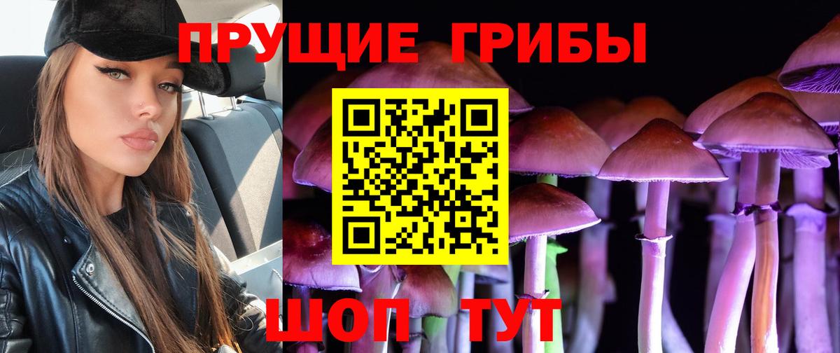 Псилоцибиновые грибы мухоморы Карачаевск